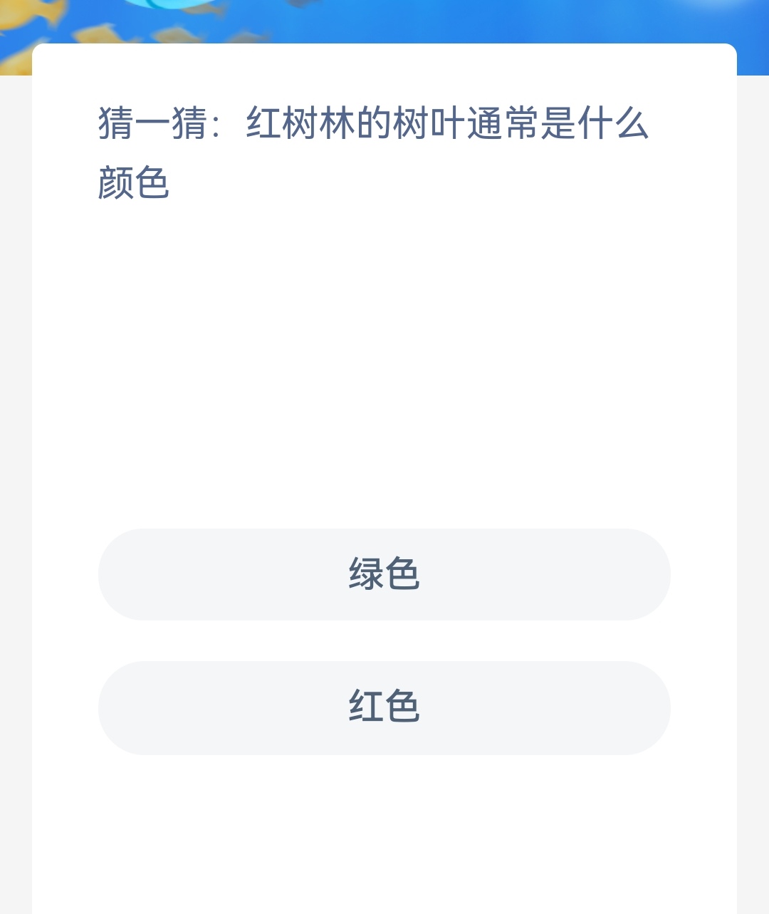 《神奇海洋》11.13猜一猜红树林的树叶通常是什么颜色