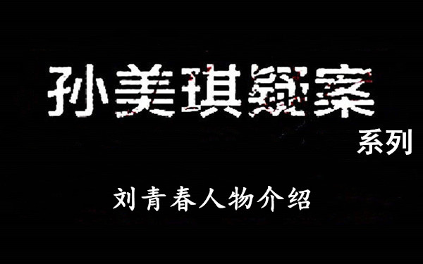 孙美琪疑案系列刘青春人物介绍