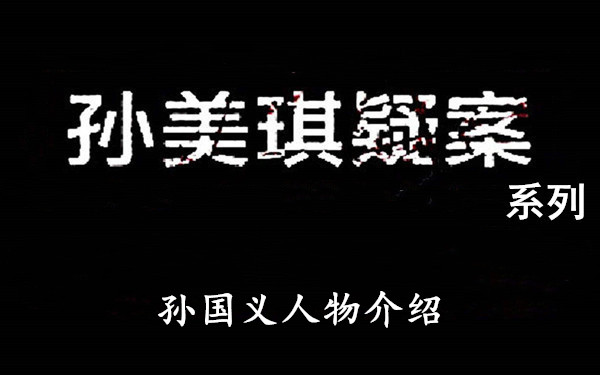 孙美琪疑案系列孙国义人物介绍