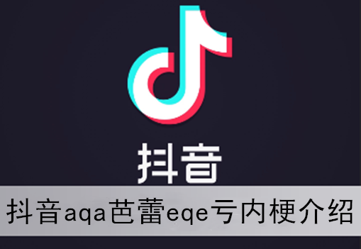 抖音aqa芭蕾eqe亏内梗介绍