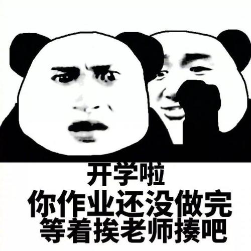 抖音像极了开学前几天狂补作业的我表情包无水印分享