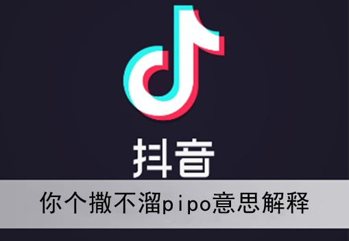 抖音你个撒不溜pipo意思解释