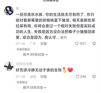 抖音豚门意思介绍