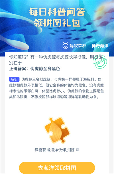 你知道吗？有一种伪虎鲸与虎鲸长得很像，显著区别取决于