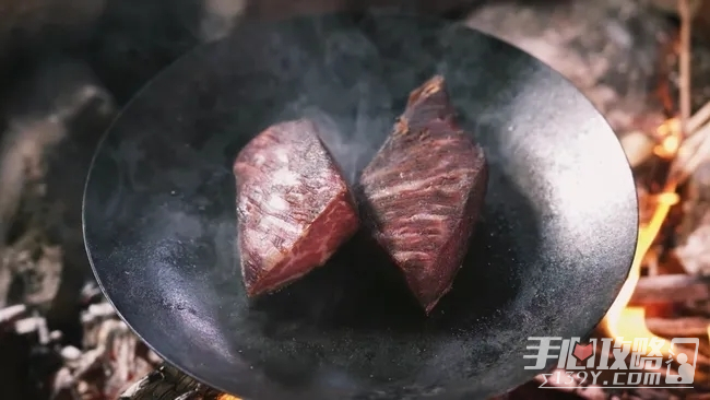 龙之信条2BBQ大师奖杯造就攻略大全手册