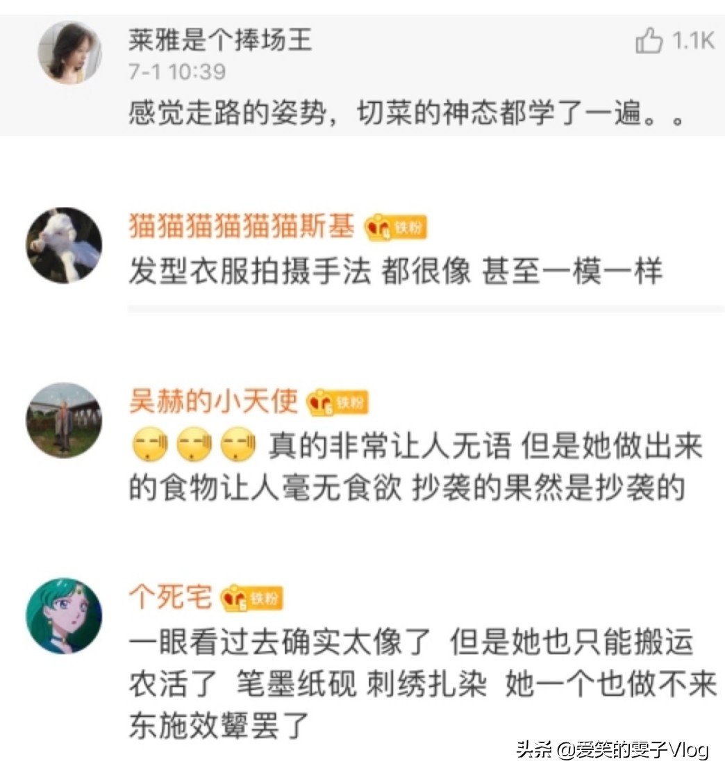 网红李子柒遭越南博主抄袭，衣服发型全一样，颜值却成败笔，你怎么看？:山寨苹果四自带的火焰纹章 