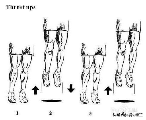 练提踵为什么一个月弹跳毫无长进？:影响弹跳力的重要素质是 
