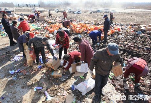 山寨苹果四自带的火焰纹章(央视3.15曝光大量山寨造假食品，涉及商家应承担什么责任？)