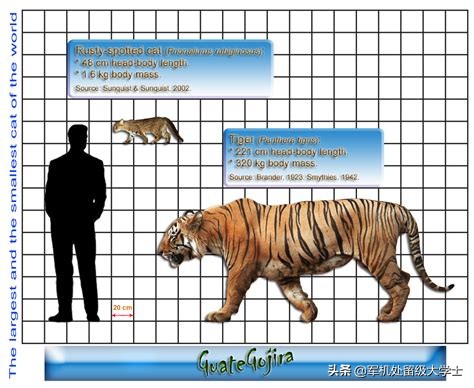 [DNF86战法玩法]除了《大国重器》，《大国工匠》，还有哪些电视节目值得一看？ 