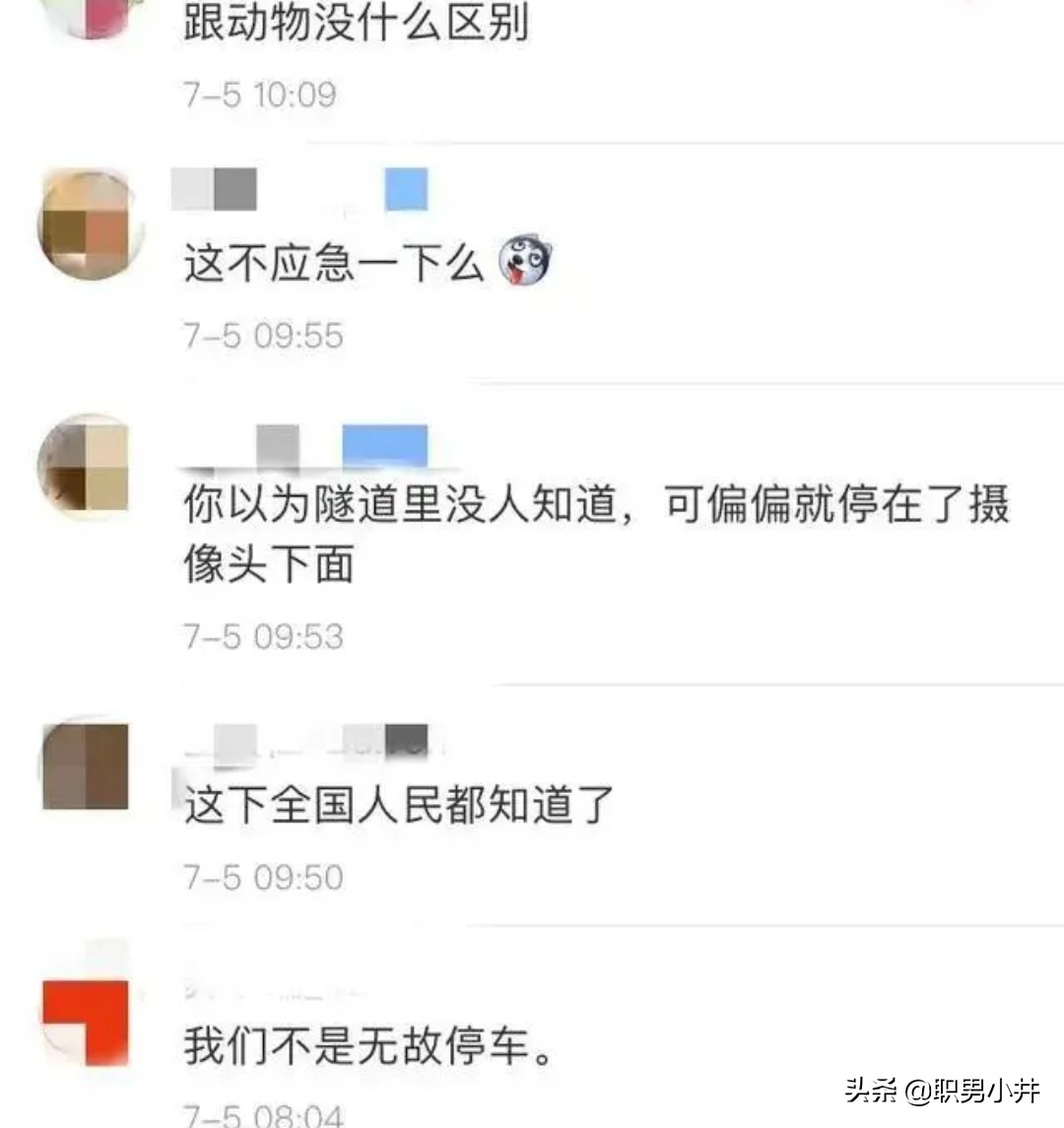 永恒之塔武器防御触发几率(永恒之塔剑星武器搭配？)