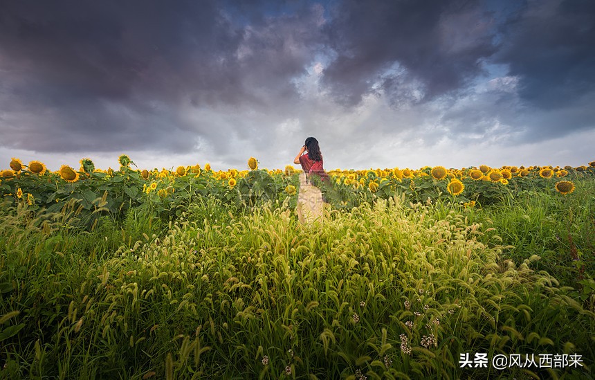 你知道的最有意思最有情趣的打油诗是什么？:悟一次觉醒称号奶妈带好吗 