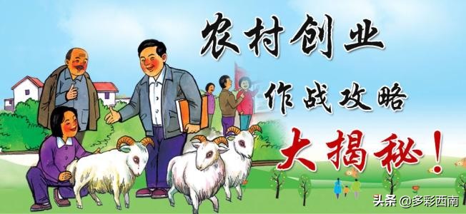 剑侠情缘天心怎么加点(1500元在农村怎么创业？)