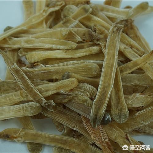 退潮后赶海一般需要什么工具，有哪些要注意的？:迷你小洞打沙虫 