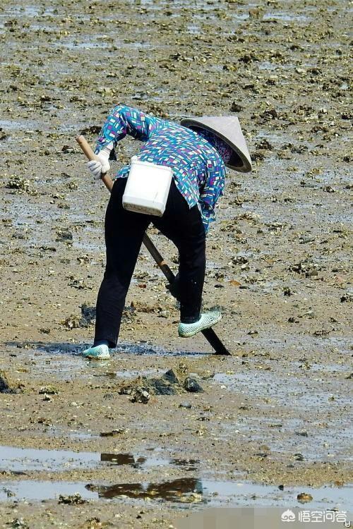 退潮后赶海一般需要什么工具，有哪些要注意的？:迷你小洞打沙虫 