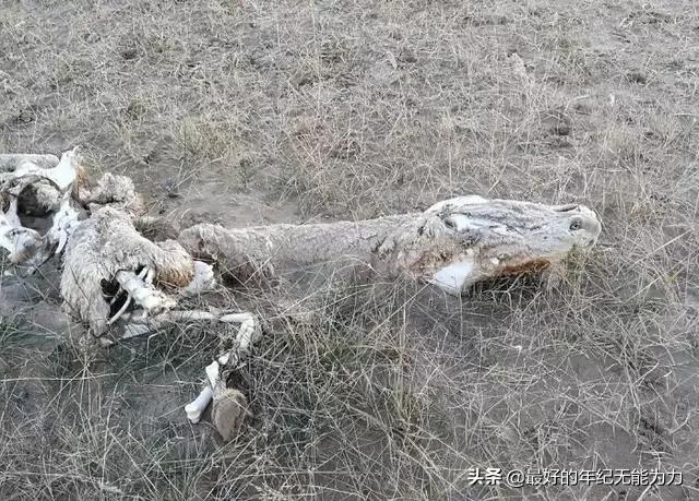 [命运石之门千年虫惨剧]继杭州女子失踪案之后，为何各地猛增此类案件？这是蝴蝶效应吗？ 