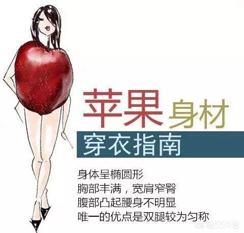 苹果商店有哪些免费又好用的学习类app？:火焰纹章IOS 