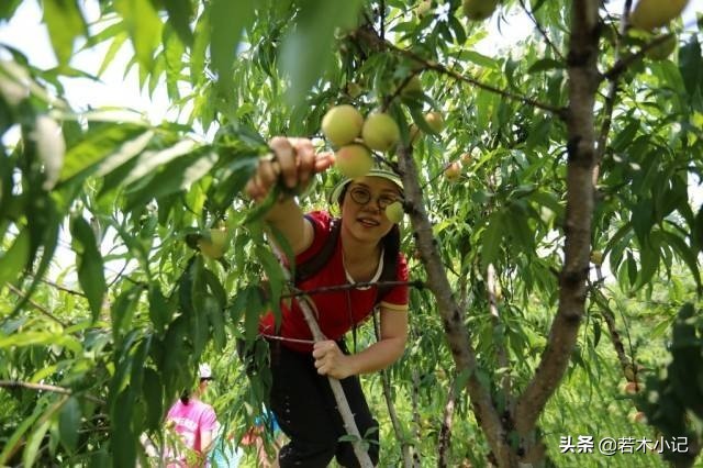 无主之地3怎么攀爬(有没有好玩不吃配置的单机游戏推荐？)